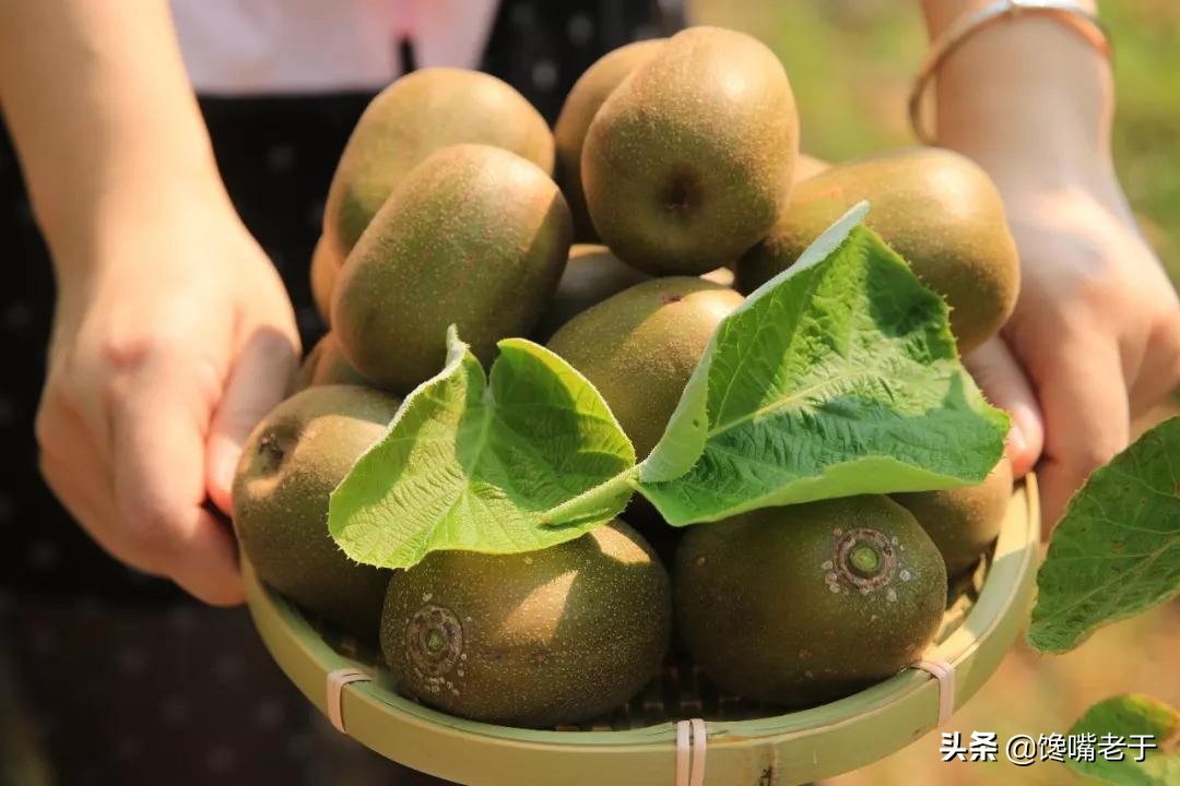 有哪些水果适合中老年人吃,现在适合老年人吃的水果零食