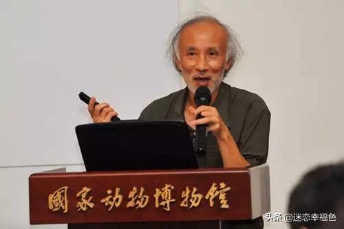 蛇博士完整版,蛇博士烙铁头