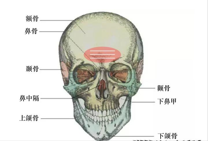 额头皱纹多了用什么方法去除最好,才22岁额头就有皱纹了男生怎么办