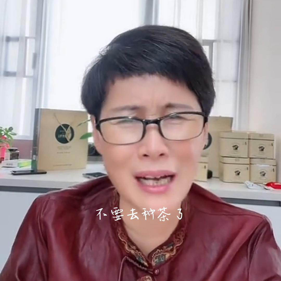 有人种茶,有人卖茶,各自诚信经营,各自提供应有的服务...