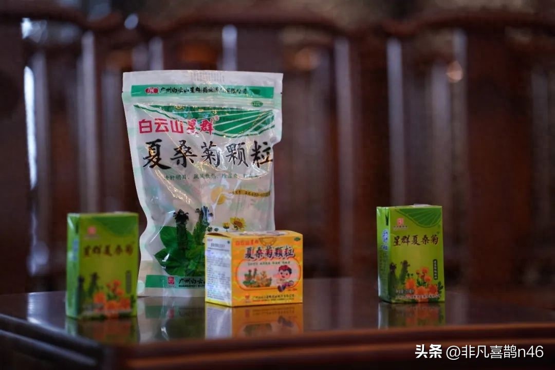 凉茶文化节,白云山星群夏桑菊凉茶节在哪