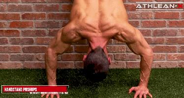 10个经典健身动作零基础,适合所有人的健身动作推荐