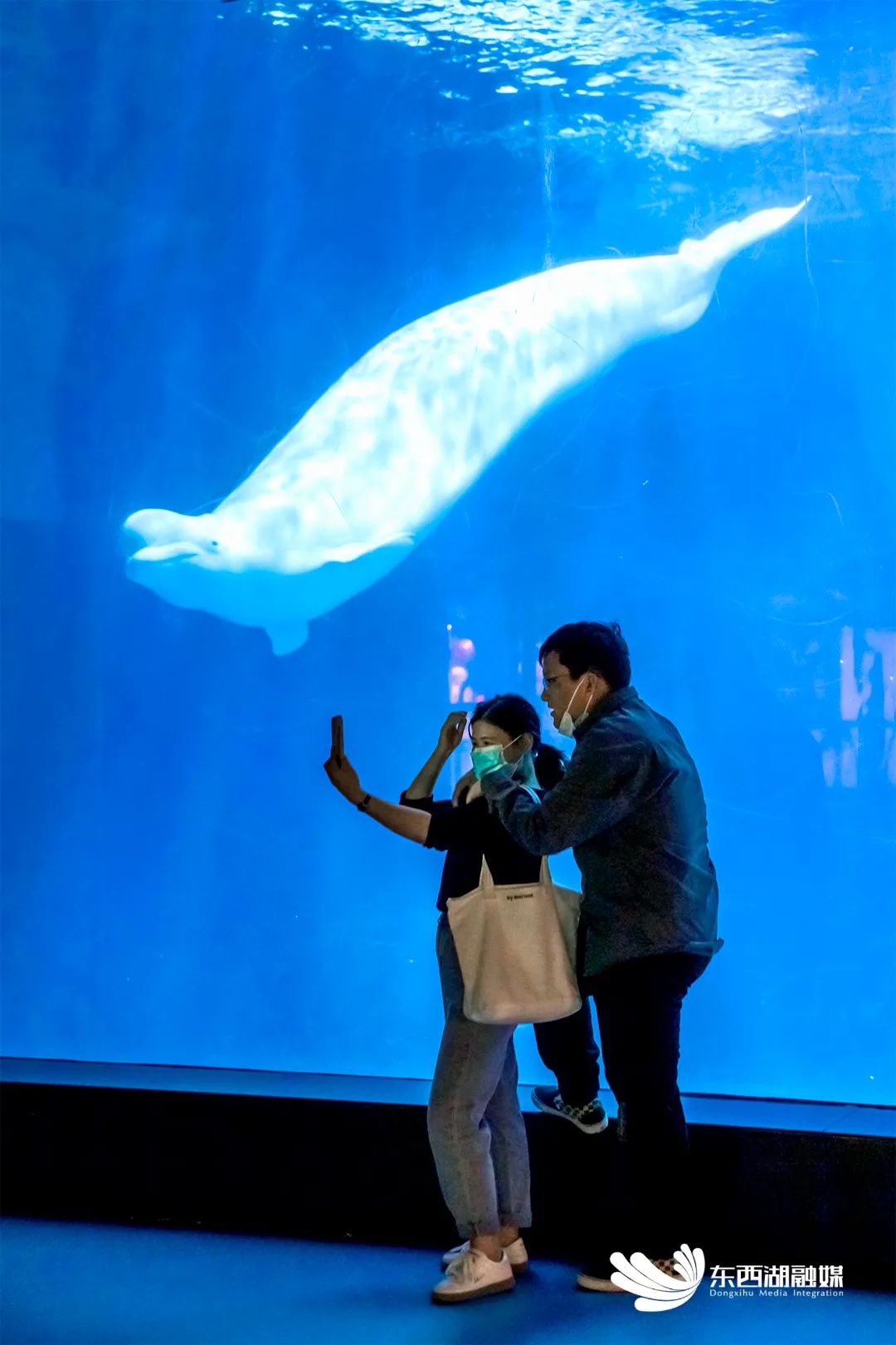 三分钟看懂武汉城市,30秒了解黄冈