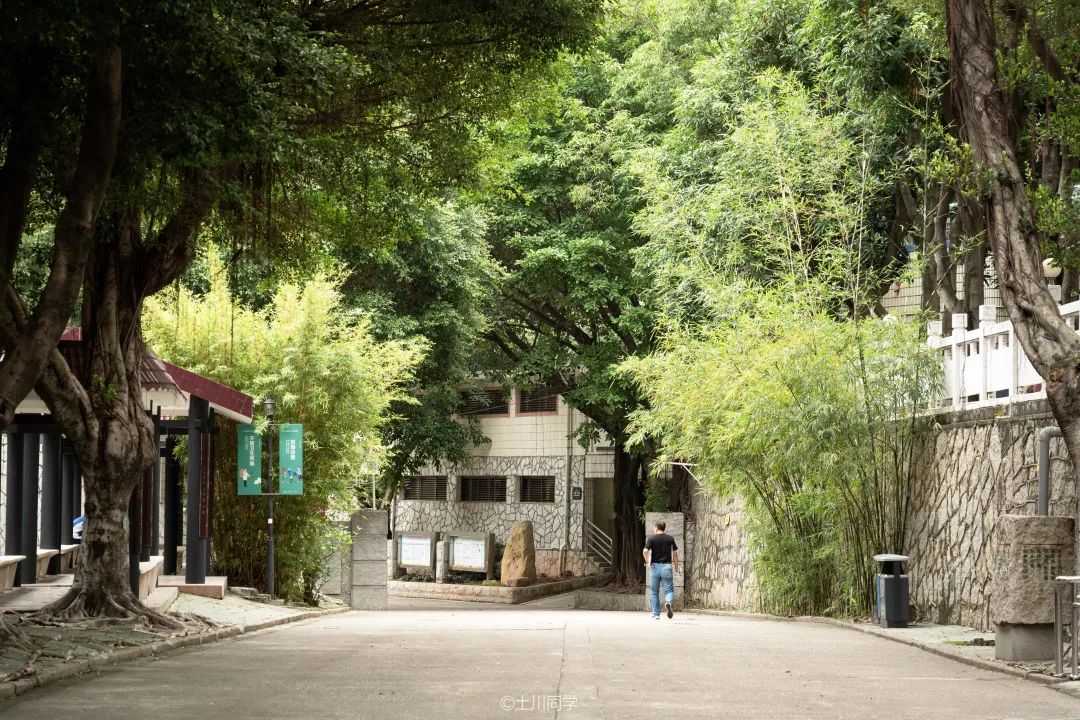 回忆石岩公学,石岩公学5年级