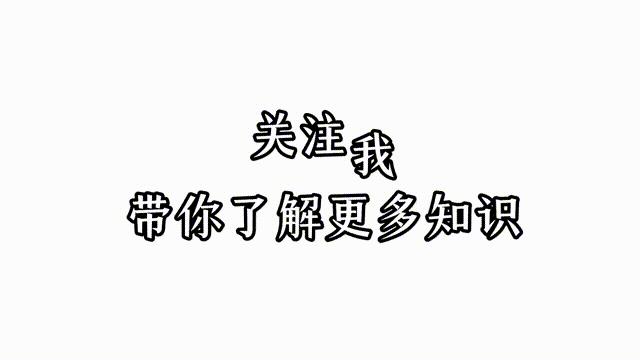 合成2048的游戏有哪些,合成2048赚钱游戏下载