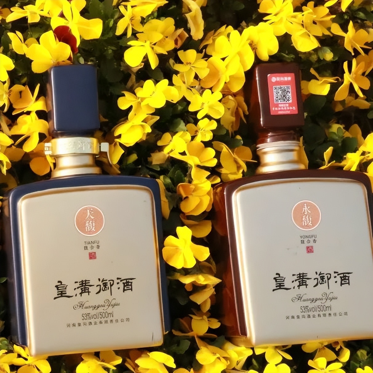 皇天后土汉兴地，沟堑芒砀今犹记|沟馥合香藏头诗征集令第十二期诗文大赏