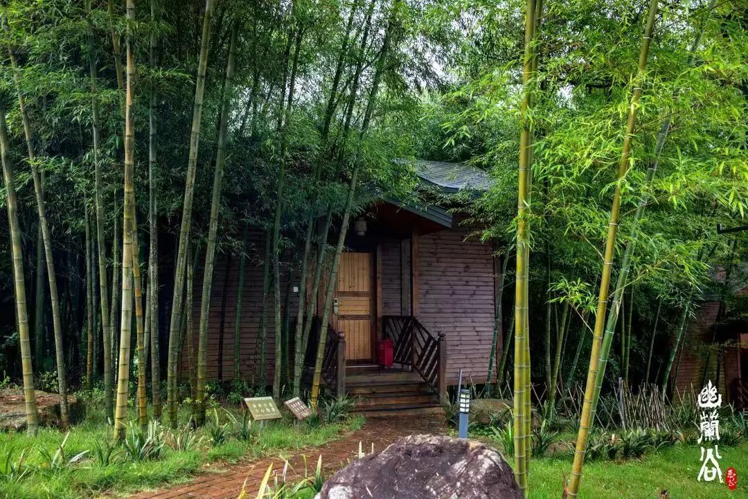 旅行攻略广东民宿,春节期间韶关小众私人民宿推荐