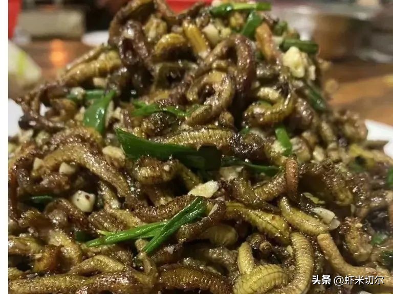 正宗川味煮草鱼,广东传统菜煮草鱼