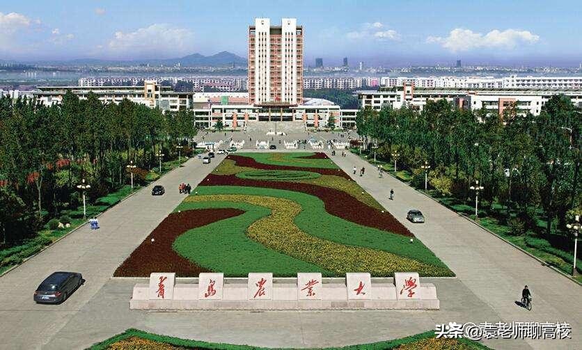 青岛理工大学与青科大,青岛理工和青岛科技