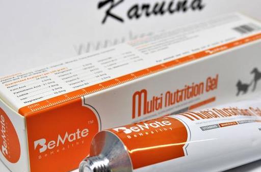 养好巴哥犬的5个技巧,养巴哥犬该注意些什么