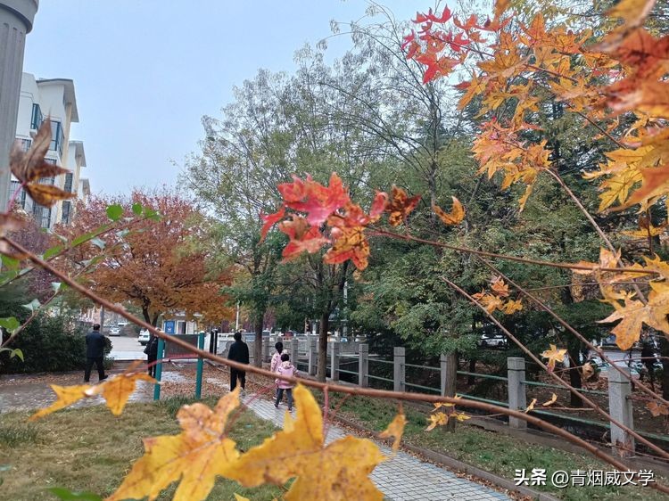 忆秦娥早春,忆秦娥冬日黄昏