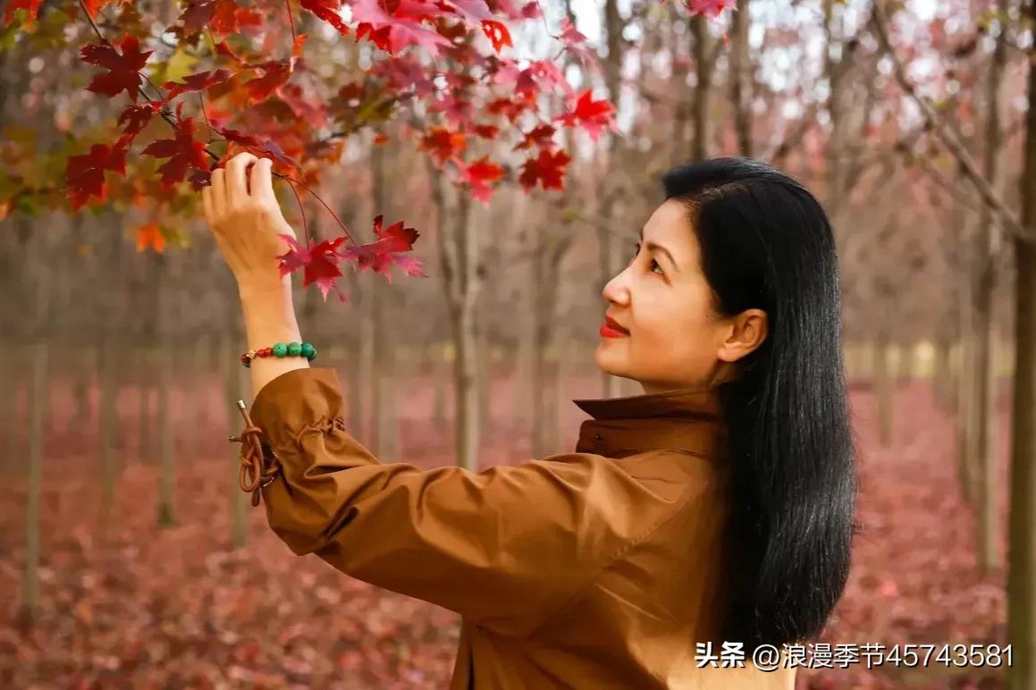 惊艳了时光优美散文,致自己的唯美散文