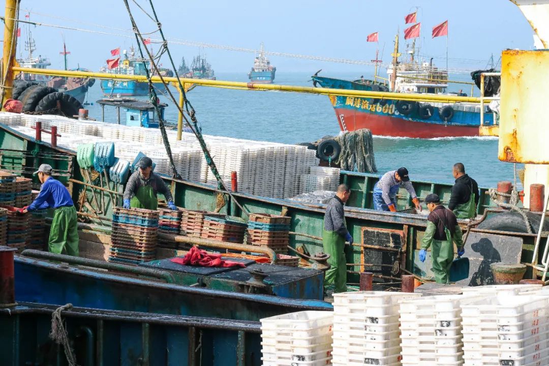 榛勫矏缇庨娴烽矞,绂忓缓杩炴睙榛勫矏娴烽矞缇庨