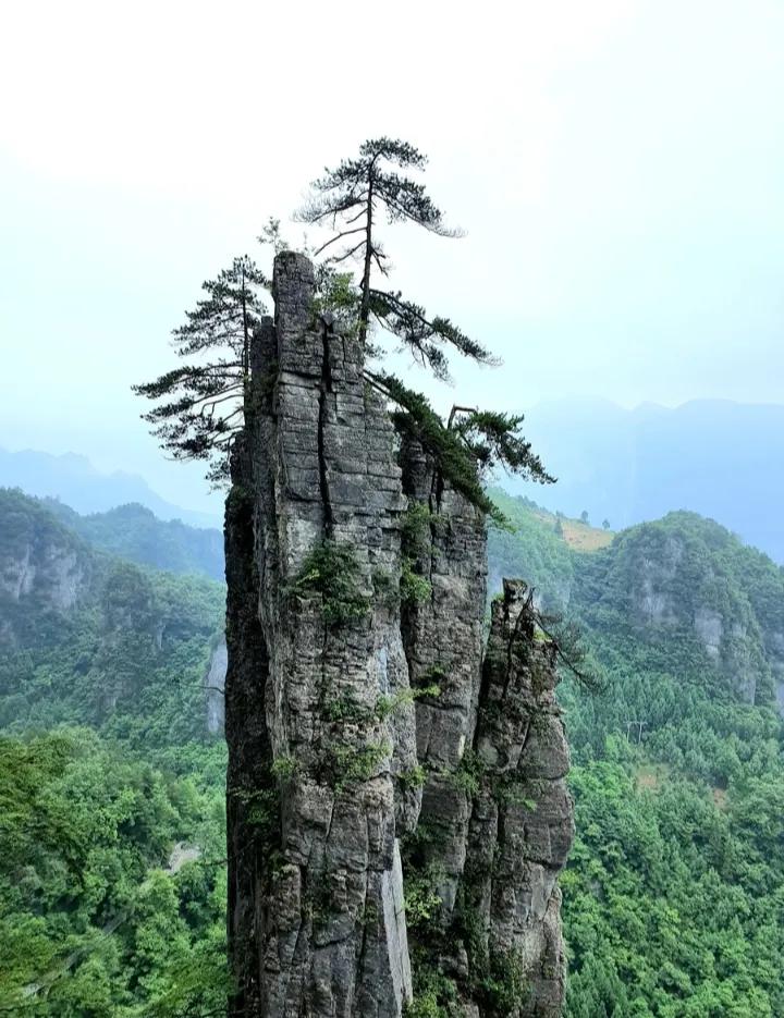 俗语“家住起高房，家衰难兴旺”，啥是起高房？盖房讲究有道理吗