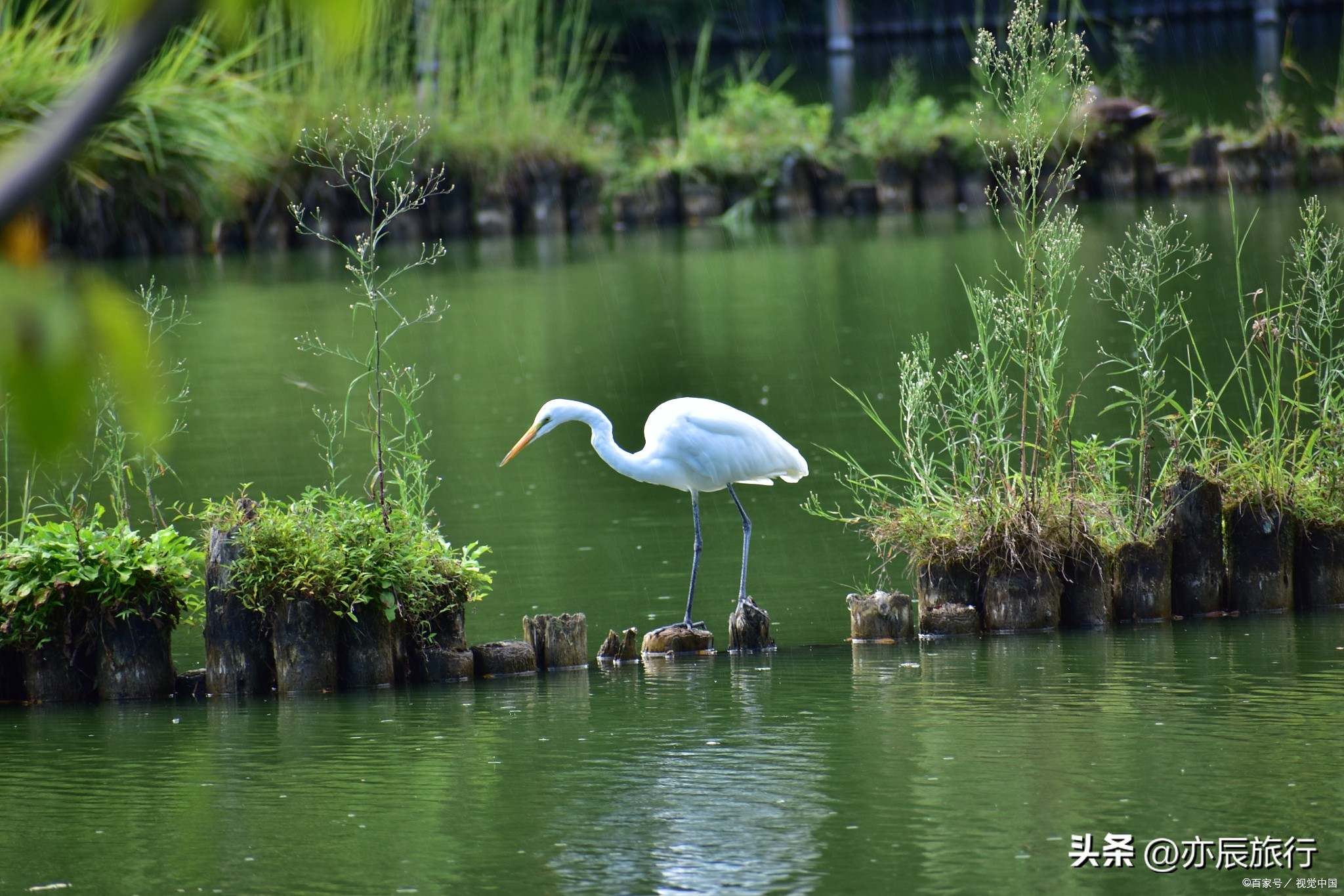 佛山秋天禅城必游景点,佛山11月游玩攻略自由行