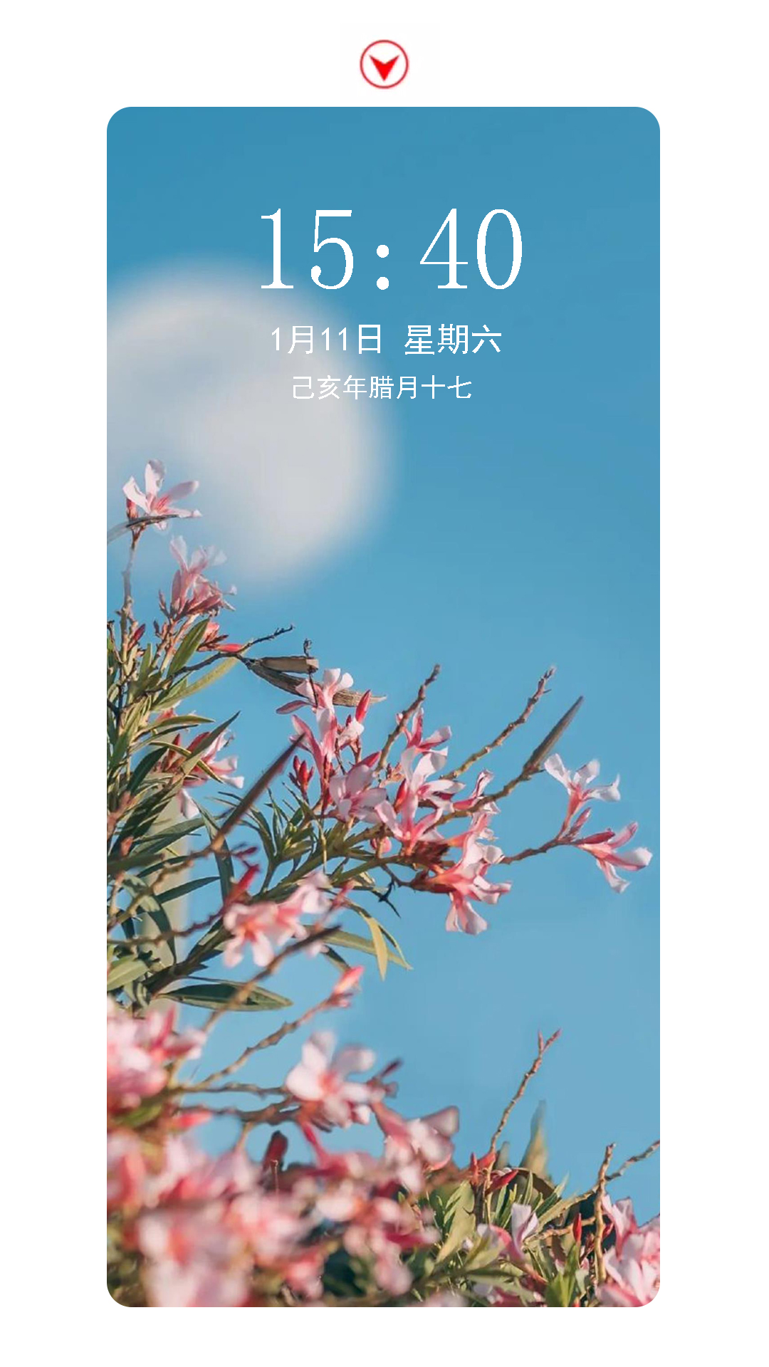 精选优质高清手机壁纸第十七期,好看的手机壁纸分享第二弹