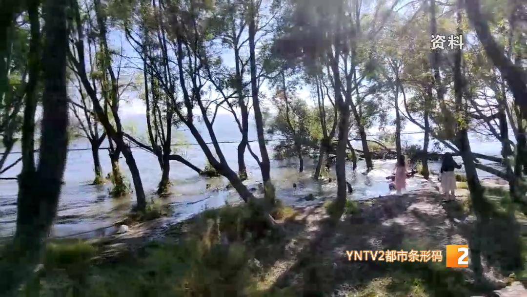 元旦假期或迎首个旅游高峰,元旦春节或迎出游新高峰