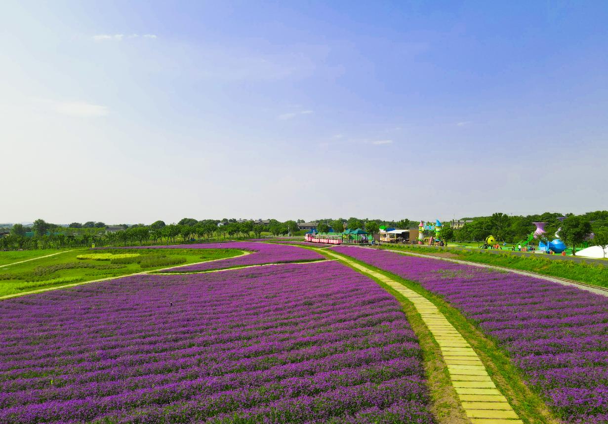 楚·绣园：花艺业态亟需整合创新，“花店+”闭环服务破解难题