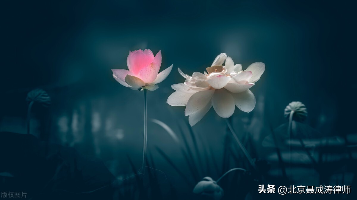 诈骗了怎么追回被骗的钱,被金融诈骗了该如何处理