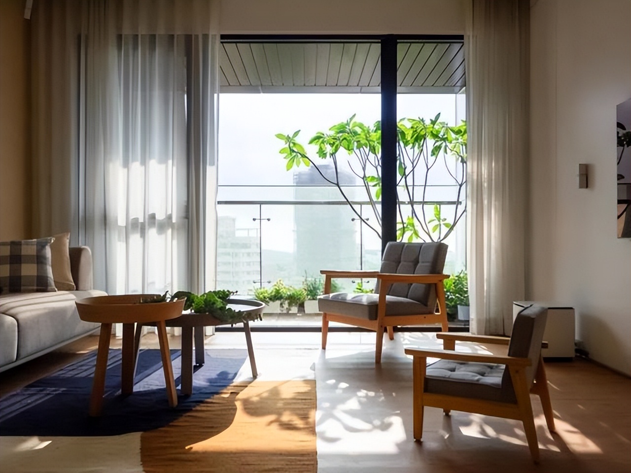 家里养哪种绿植好养且净化空气,除甲醛最好的绿植花