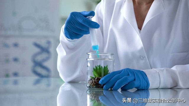 农业发展重点突破,农业创新发展模式