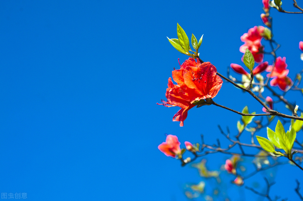 100个让自己变美的习惯,变美的29个习惯