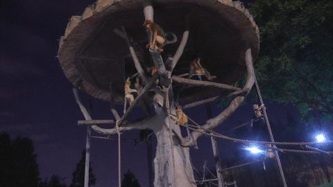 夏夜的一万种可能标题,夏夜的一百种可能