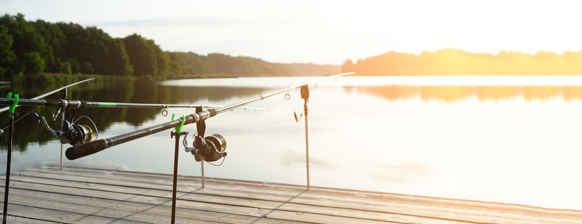 一个小故事短篇,一个美丽的故事读后感简短