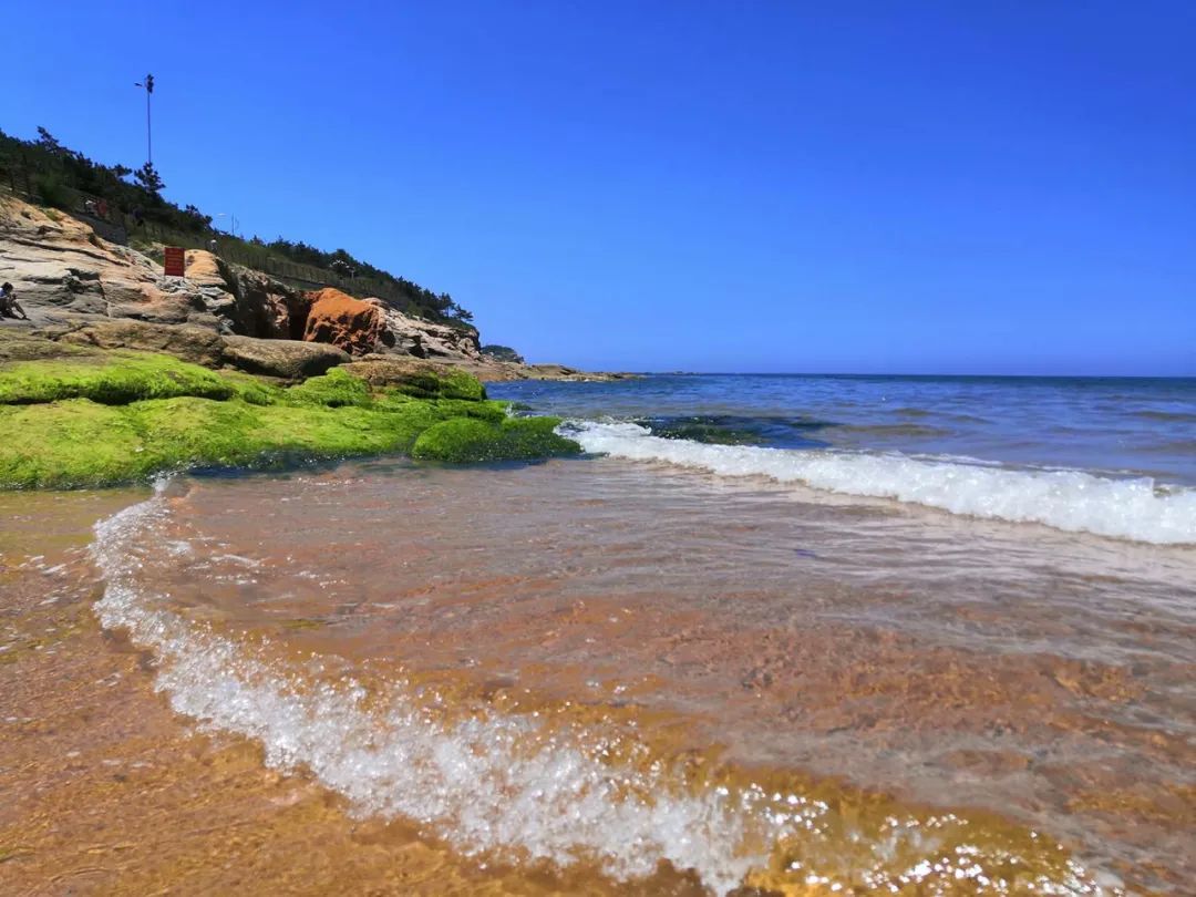 春天的第一场露营怎么策划,春天的第一场露营安排起来