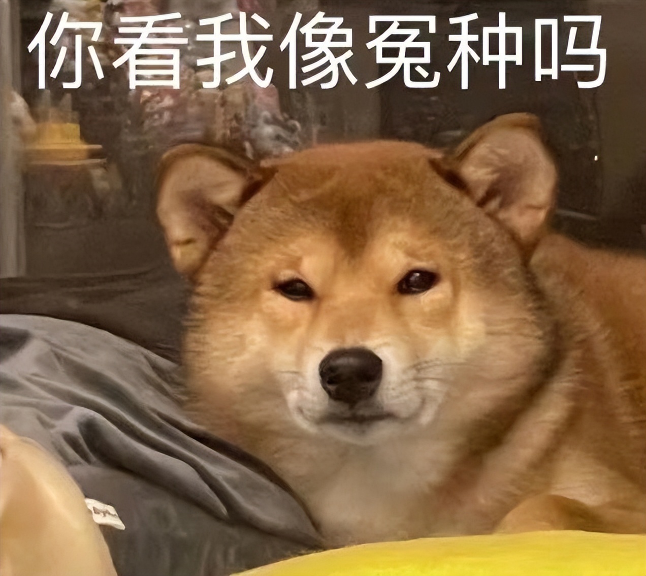 情人节安全套,情人节冷知识100例