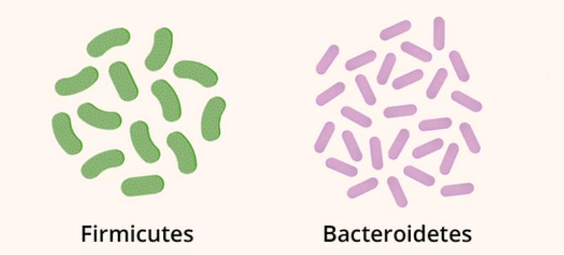 肠道侧漏会是什么症状,肠道渗漏什么意思