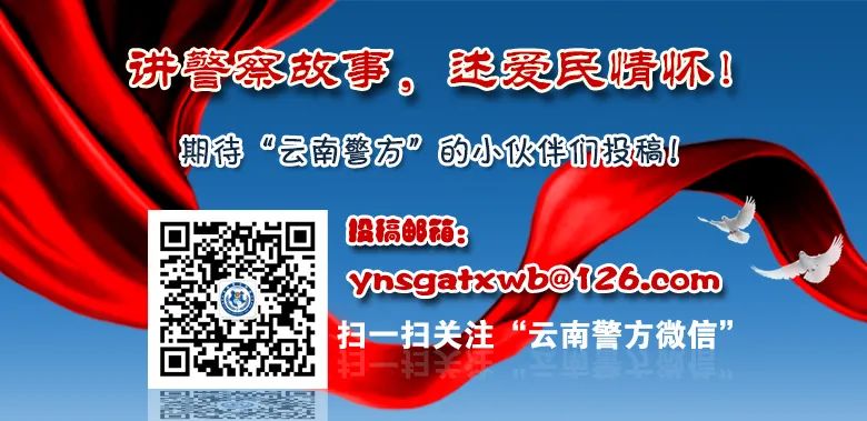 交管12123app老报错,交管12123app违法处理不了