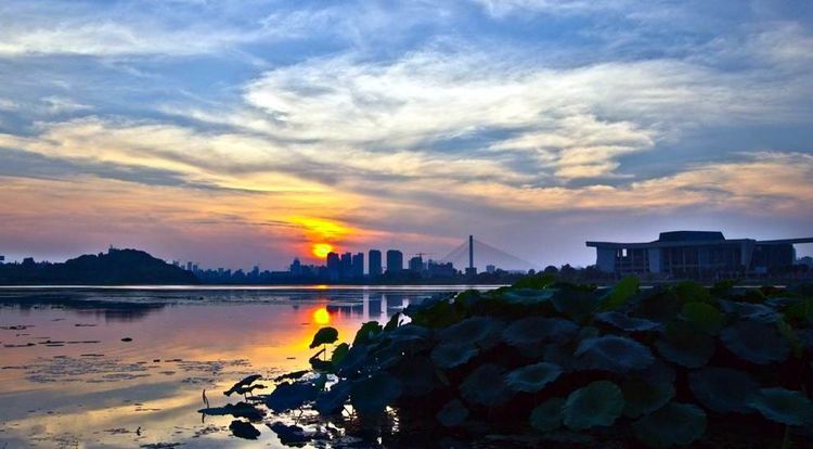 汉阳柏泉人张禹木诗几首禺草号汉阳