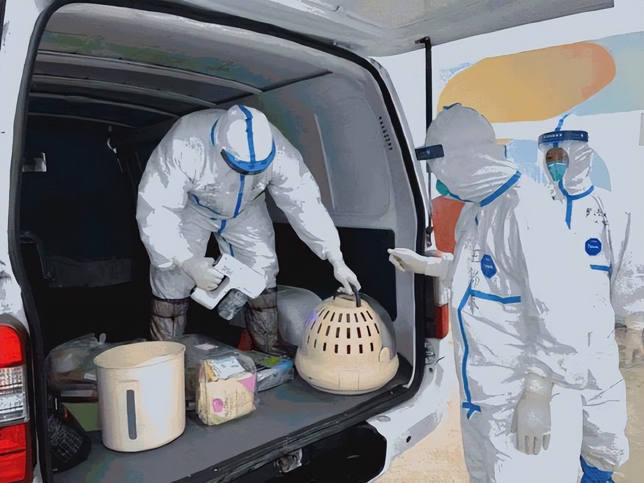 京东迎来首位女掌舵者,京东大花臂