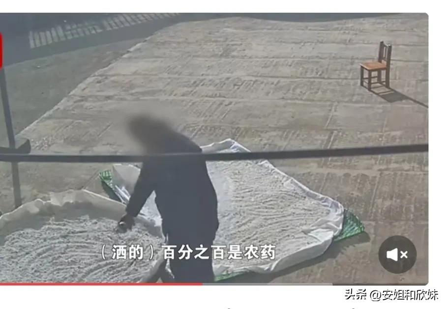 男子晒藕粉疑遭邻居撒药,男子在家晒藕粉遭邻居撒农药后续