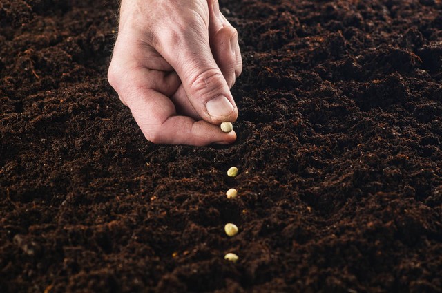 中国第一的农业大省,中国蔬菜大省山东