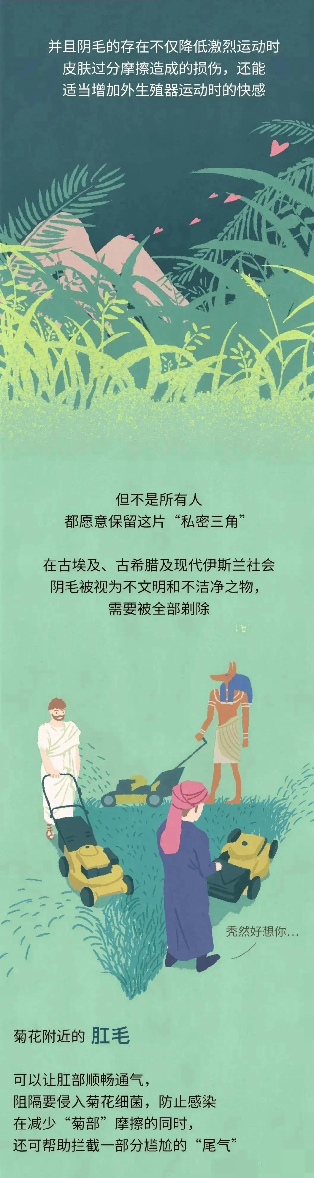 人类的体毛作用,人类的体毛是怎样退化的