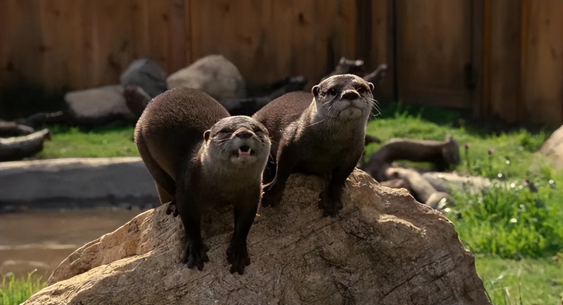 2021年女生圣诞礼物,2021女生圣诞礼物推荐