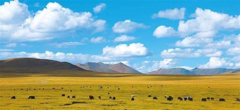 雪山下的某个小镇,雪山下的梦幻球场