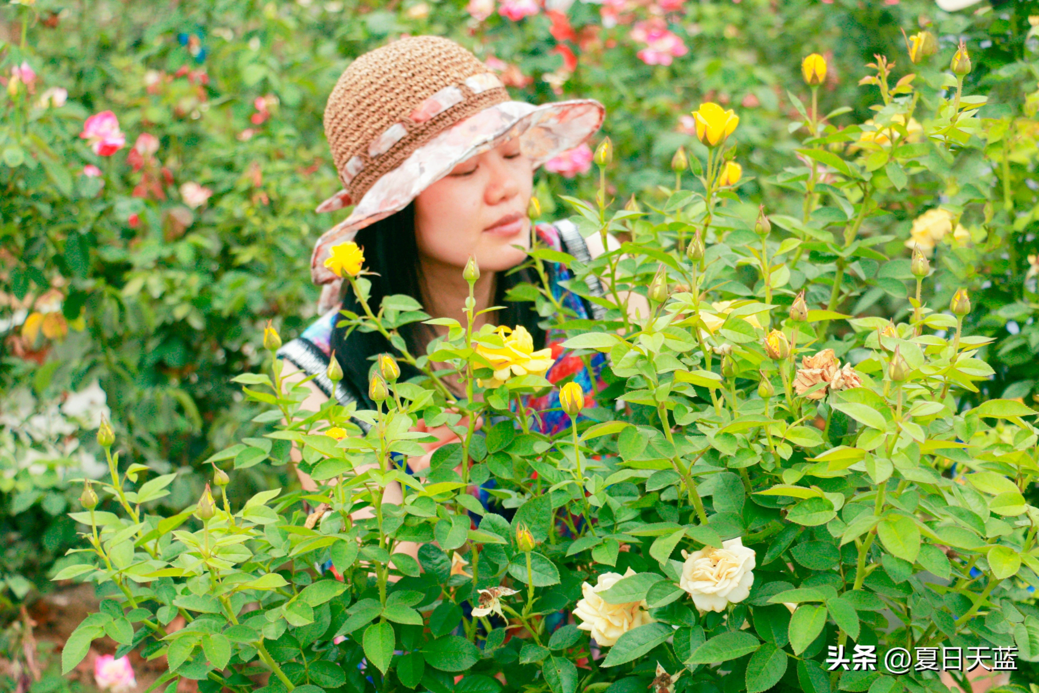 三亚度假最佳选择,三亚度假正确打开方式