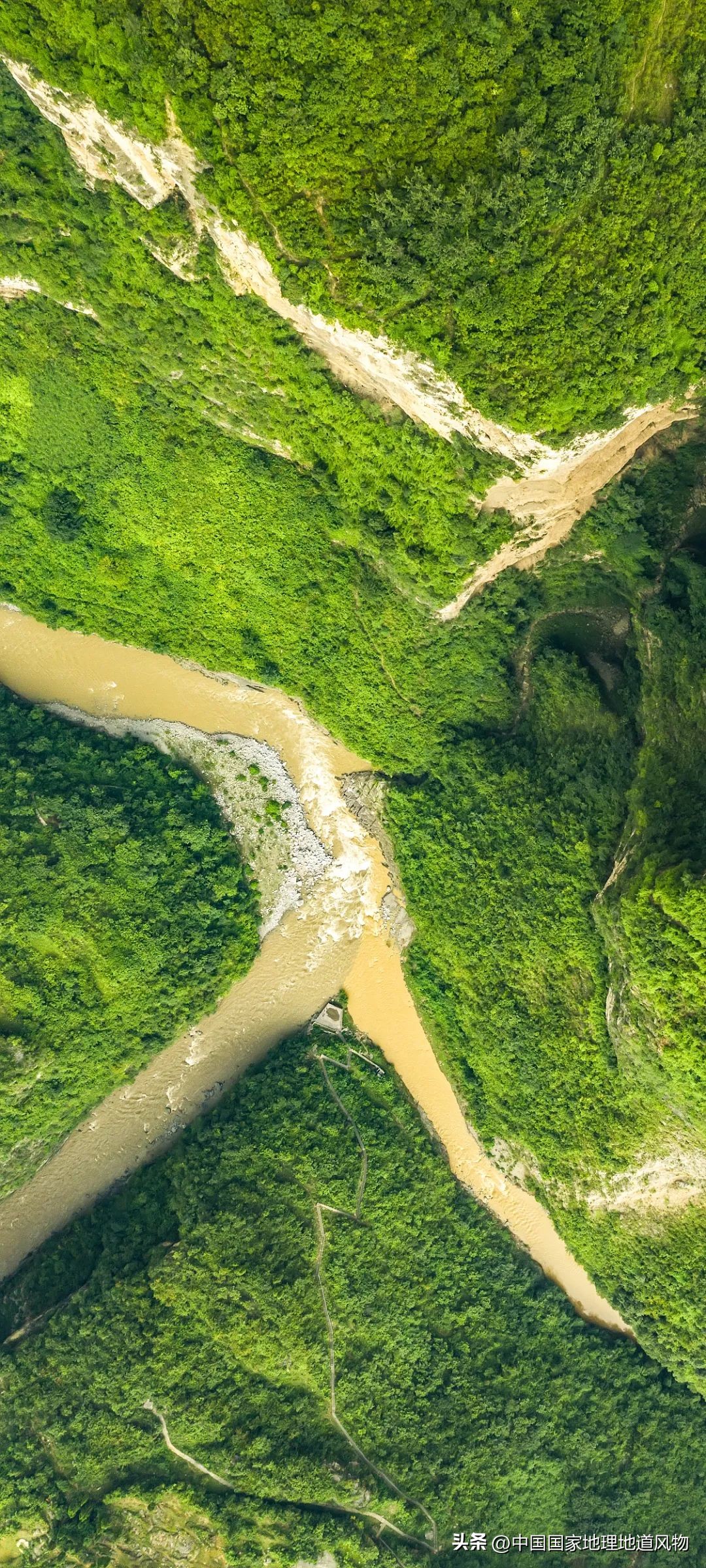红高粱里的酒为什么是红的,红高粱里酒怎么是红的