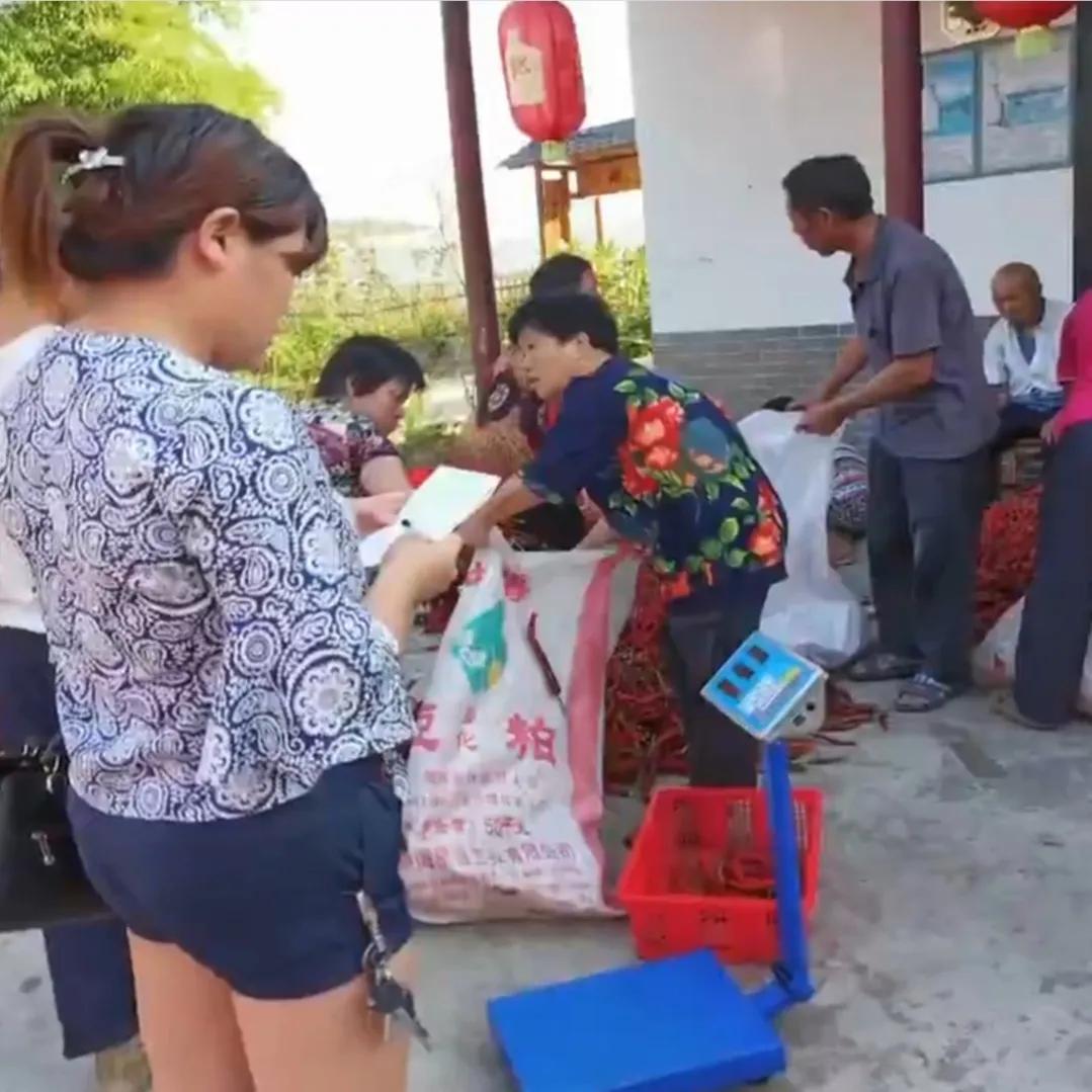 湖南女子投资180万开农庄日入2位数,如今靠柴火鸡年销售额1000万