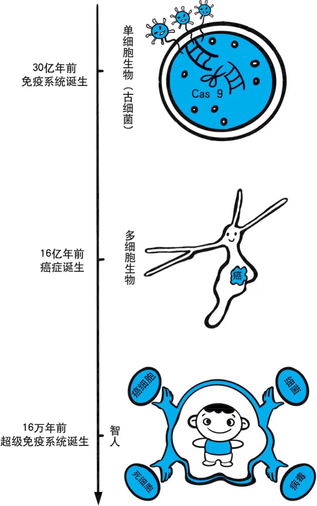 免疫系统知识科普,七分钟让你看懂免疫系统