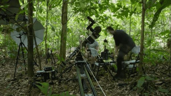 96岁还在奔波工作，这老爷子做出了今年9.8分神片