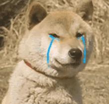 用了中药面膜后长痘痘是排毒吗,敷完面膜发现脸上长了一个痘