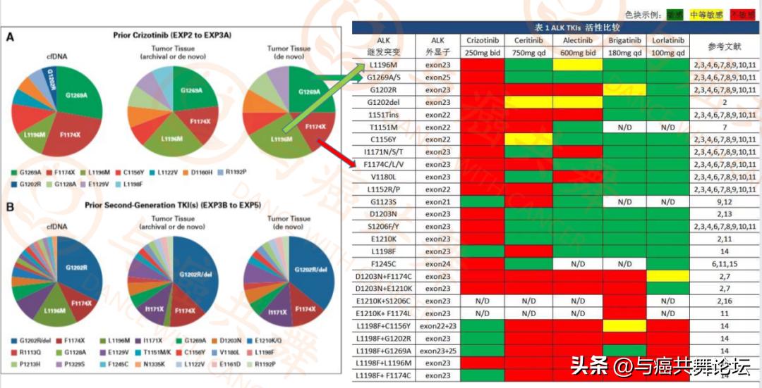 讨论几代药的问题，你需要先了解这些基础（下）