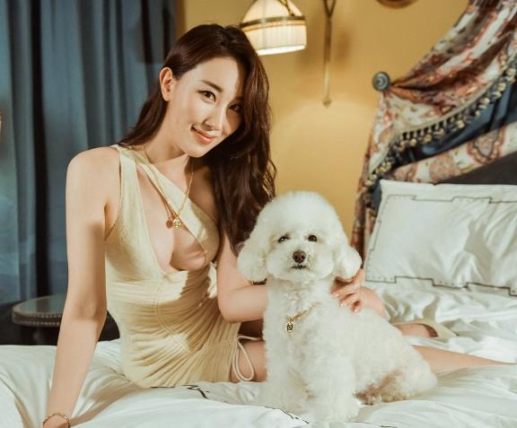 宠物潮流项链,时尚个性潮流狗项链