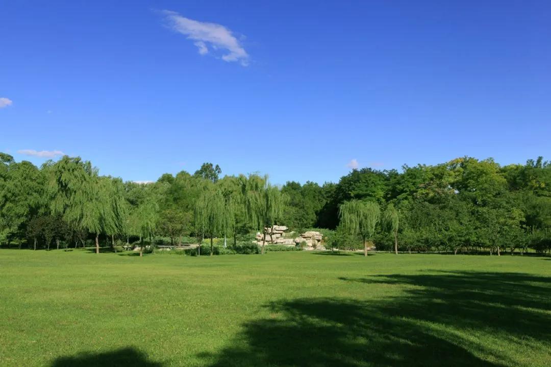 海淀公园相亲小程序,海淀公园相亲角