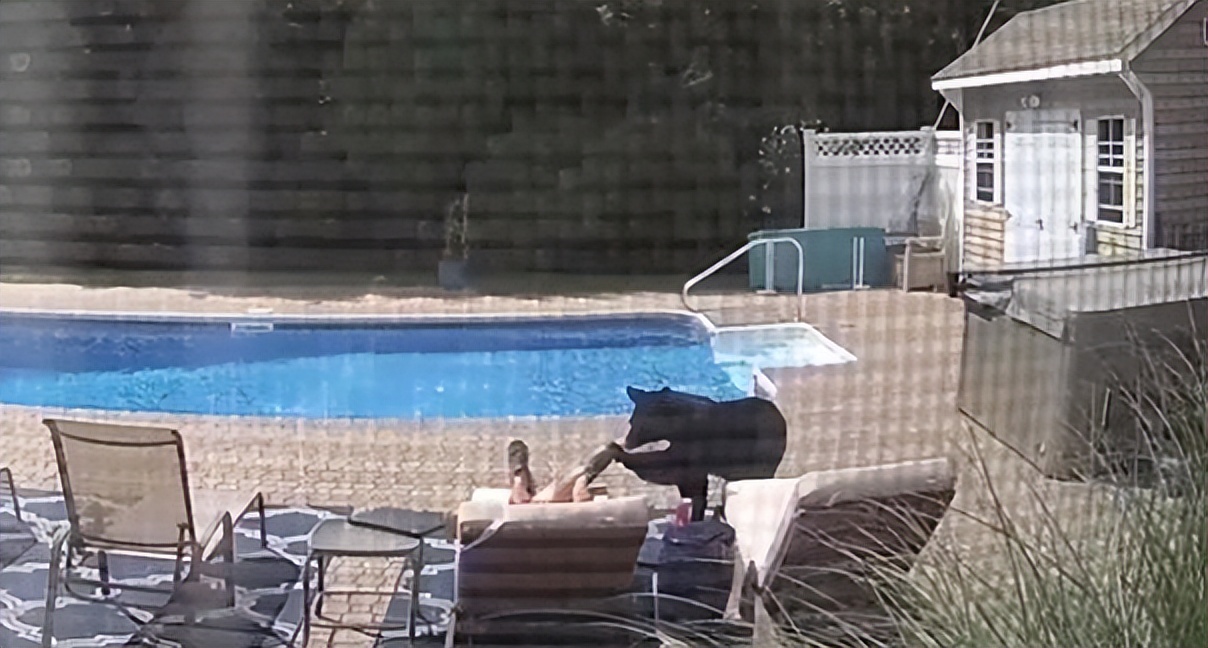 被黑熊袭击为什么这么严重,男子家中遭黑熊袭击徒手击退黑熊