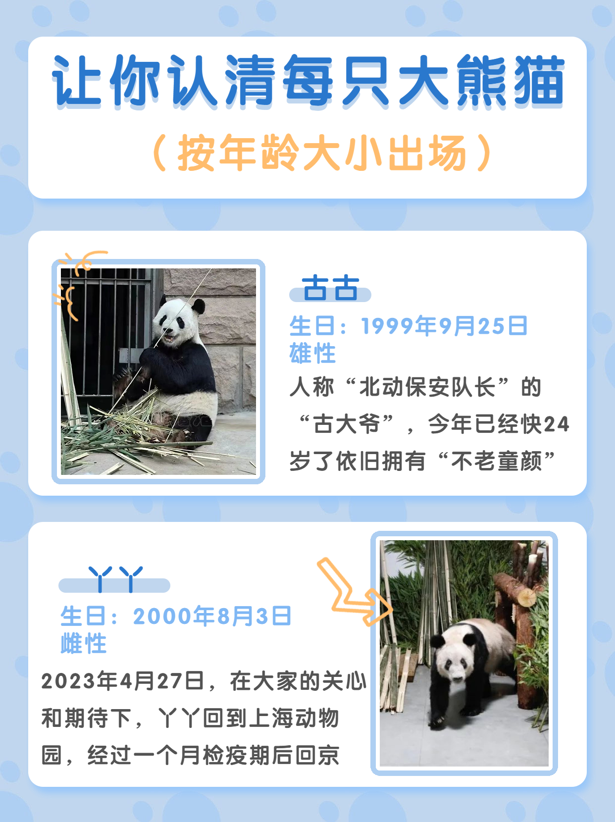 北京动物园游玩攻略路线图,游览北京动物园需要提前购票吗